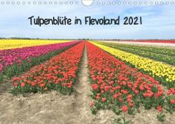 Tulpenblüte in Flevoland 2021 (Wandkalender 2021 DIN A4 quer)