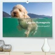 Lagotto Romagnolo - Wasserspiele (Premium, hochwertiger DIN A2 Wandkalender 2021, Kunstdruck in Hochglanz)