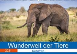 Wunderwelt der Tiere - Südafrika (Wandkalender 2021 DIN A2 quer)