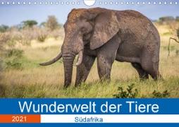 Wunderwelt der Tiere - Südafrika (Wandkalender 2021 DIN A4 quer)