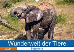 Wunderwelt der Tiere - Botswana (Wandkalender 2021 DIN A3 quer)