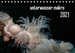 unterwasser makro 2021 (Tischkalender 2021 DIN A5 quer)