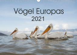 Vögel Europas 2021 (Wandkalender 2021 DIN A3 quer)