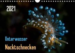 Unterwasser - Nacktschnecken 2021 (Wandkalender 2021 DIN A4 quer)