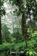 In the Mists of Paluma
