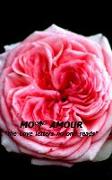 Mon Amour: The Love Letters no one read