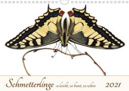 Schmetterlinge so leicht, so bunt, so schön (Wandkalender 2021 DIN A4 quer)