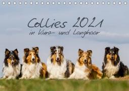 Collies 2021 in Kurz- und Langhaar (Tischkalender 2021 DIN A5 quer)