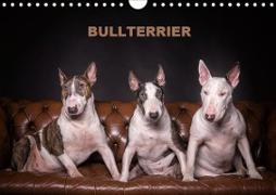 Bullterrier (Wandkalender 2021 DIN A4 quer)