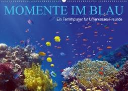Momente im Blau - Ein Terminplaner für Unterwasser-Freunde (Wandkalender 2021 DIN A2 quer)