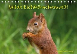 Wilde Eichhörnchenwelt! (Tischkalender 2021 DIN A5 quer)