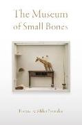 The Museum of Small Bones