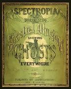 Spectropia, or Surprising Spectral Illusions Showing Ghosts Everywhere