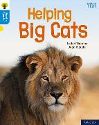 Oxford Reading Tree Word Sparks: Level 3: Helping Big Cats