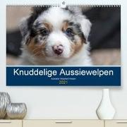 Australian Shepherd Welpen 2021 (Premium, hochwertiger DIN A2 Wandkalender 2021, Kunstdruck in Hochglanz)