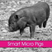 Smart Micro Pigs (Wall Calendar 2021 300 × 300 mm Square)