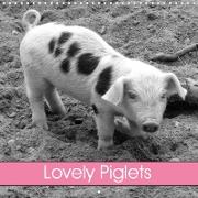 Lovely Piglets (Wall Calendar 2021 300 × 300 mm Square)
