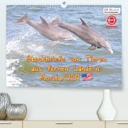 GEOclick Lernkalender: Steckbriefe von Tieren aus fernen Ländern: Florida/USA (Premium, hochwertiger DIN A2 Wandkalender 2021, Kunstdruck in Hochglanz)