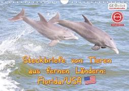 GEOclick Lernkalender: Steckbriefe von Tieren aus fernen Ländern: Florida/USA (Wandkalender 2021 DIN A4 quer)