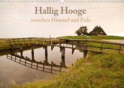 Hallig Hooge - zwischen Himmel und Erde (Wandkalender 2021 DIN A3 quer)