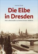 Die Elbe in Dresden