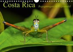 Costa Rica Begegnungen im Regenwald (Wandkalender 2021 DIN A4 quer)