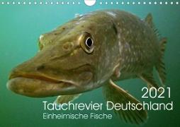Tauchrevier Deutschland (Wandkalender 2021 DIN A4 quer)