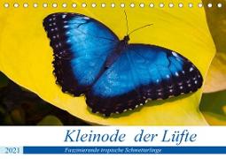 Kleinode der Lüfte - Faszinierende tropische Schmetterlinge (Tischkalender 2021 DIN A5 quer)