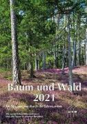 Baum und Wald 2021