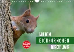 Mit dem Eichhörnchen durchs Jahr (Wandkalender 2021 DIN A4 quer)