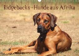 Ridgebacks - Hunde aus Afrika (Wandkalender 2021 DIN A3 quer)