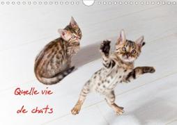 Quelle vie de chats (Calendrier mural 2021 DIN A4 horizontal)