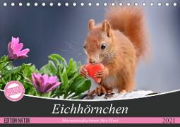 Eichhörnchen Momentaufnahmen fürs Herz (Tischkalender 2021 DIN A5 quer)