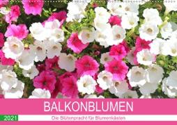 Balkonblumen. Die Blütenpracht für Blumenkästen (Wandkalender 2021 DIN A2 quer)