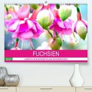 Fuchsien. Liebliche Blumenkelche aus dem Elfenreich (Premium, hochwertiger DIN A2 Wandkalender 2021, Kunstdruck in Hochglanz)