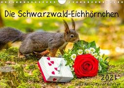 Die Schwarzwald-Eichhörnchen (Wandkalender 2021 DIN A4 quer)