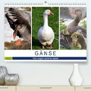 Gänse. Von wegen dumme Gans! (Premium, hochwertiger DIN A2 Wandkalender 2021, Kunstdruck in Hochglanz)