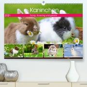 Kaninchen. Putzig, flauschig und geliebt (Premium, hochwertiger DIN A2 Wandkalender 2021, Kunstdruck in Hochglanz)