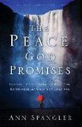 The Peace God Promises: Closing the Gap Between What You Experience and What You Long for