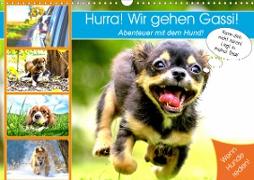 Hurra! Wir gehen Gassi! Abenteuer mit dem Hund! (Wandkalender 2021 DIN A3 quer)