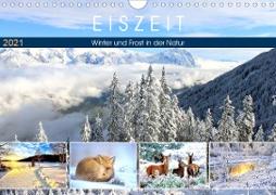 Eiszeit. Winter und Frost in der Natur (Wandkalender 2021 DIN A4 quer)