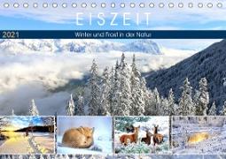 Eiszeit. Winter und Frost in der Natur (Tischkalender 2021 DIN A5 quer)