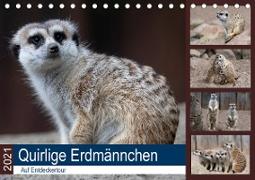 Quirlige Erdmännchen (Tischkalender 2021 DIN A5 quer)