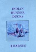 Indian Runner Ducks