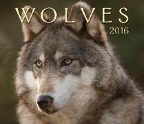 Wolves 2016