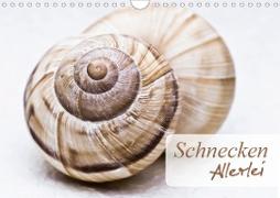 Schnecken Allerlei (Wandkalender 2021 DIN A4 quer)