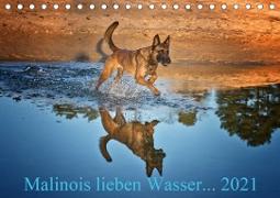 Malinois lieben Wasser (Tischkalender 2021 DIN A5 quer)