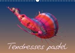 Tendresses pastel (Calendrier mural 2021 DIN A3 horizontal)