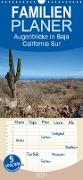 Augenblicke in Baja California Sur - Familienplaner hoch (Wandkalender 2021 , 21 cm x 45 cm, hoch)