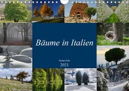 Bäume in Italien (Wandkalender 2021 DIN A4 quer)